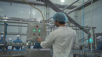 The production control supervisor inspects and controls the operation of machines in the manufacturing line of a canned fish industry video