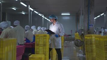 Production control supervisor inspects and controls the operation of each step in the production line of a canned fish factory video