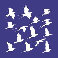 A collection of birds icon logotype from around the world vector