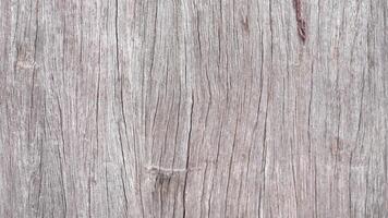 Weathered Wood Texture with Fine Grain and Natural Patterns photo