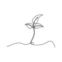 One continuous line drawing Plant growth process, vector