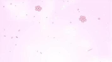 Spring, pale pink background material with falling petals and cherry blossoms video