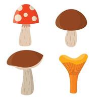 Cartoon mushroom set in flat style isolated on white background. Chanterelle mushroom, porcini mushroom, champignon, fly agaric. vector