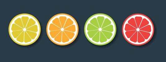Citrus fruits set. Collection of lemon, orange, lime and grapefruit icons on a dark background. vector