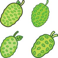 exotic green noni high-quality bundle set ideal for menus, food and fruit concepts illustration. vector