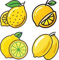 tangy yellow native lime high-quality bundle set ideal for menus, food and fruit concepts illustration. vector