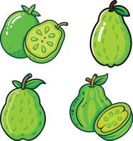 vibrant green pineapple guava high-quality bundle set ideal for menus, food and fruit concepts illustration. vector