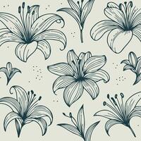 illustration of lily flowers, set of hand drawn black outline lily flowers isolated on white background vector