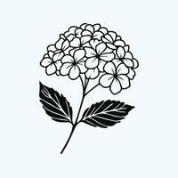 A black and white flower with leaves on it, Hand Drawn Hydrangea Flower and Leaf Design vector