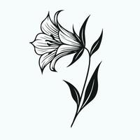 A black and white drawing of a flower, bluebell flowers in hand drawn style illustration. isolated. Doodle. Plants in black and white. vector