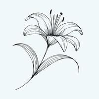 A black and white drawing of a lily, Abstract Flower Lily one line art drawing singular aesthetic minimalist, one line art, line art, icon, logo vector