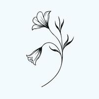 A black and white drawing of a flower, bluebell flowers in hand drawn style illustration. isolated. Doodle. Plants in black and white. vector