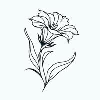 A black and white drawing of a flower, bluebell flowers in hand drawn style illustration. isolated. Doodle. Plants in black and white. vector