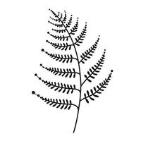 A black and white drawing of a fern leaf vector