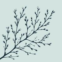 A branch with leaves and water droplets on it, Spring tree blossoming branch, spring flowers. Isolated on white background. Design for cards, invitations, posters. vector
