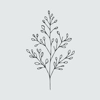 A line drawing of a branch with leaves, Hand drawn tree branches collection, dry tree branches on white background vector