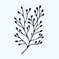 A black and white illustration of a branch with leaves, Hand drawn tree branches collection, dry tree branches on white background vector