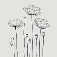 Adobe Illustrator Artwork, Illustration Plant, Including Various Elements Such as a Branch with Leaves and Flowers, a Cut in Half vector