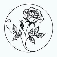 A rose is drawn in a circle with leaves vector