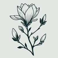 Adobe Illustrator Artwork. Set of leaves black and white silhouettes of leaves seamless pattern with leaves, magnolia branch close up, leaf patterns vector