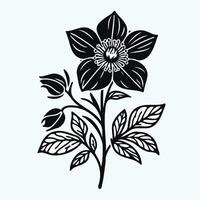 A black and white drawing of a flower hellebore vector