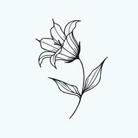 A black and white drawing of a flower, Bluebell flower and leaf hand drawn botanical illustration with line art. vector