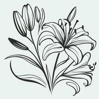 Adobe Illustrator Artwork. Beautiful hand drawn lilies, design elements. Can be used for cards, invitations, banners, posters, logo, print design. vector