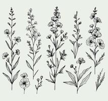 A set of flowers drawn in black and white, Set abstract elegant line art flower and leaf. Continuous boho line art silhouette of floral artwork vector