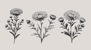 Three different types of flowers are shown in this drawing, Set abstract elegant line art flower and leaf. Continuous boho line art silhouette of floral artwork vector