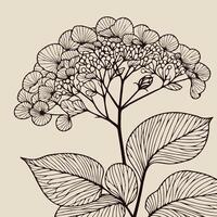 A drawing of a flower with leaves and leaves, Illustration Plant, Including Various Elements Such as a Branch with Leaves and Flowers, a Cut in Half vector