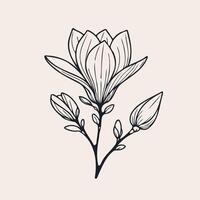 Adobe Illustrator Artwork. Set of leaves black and white silhouettes of leaves seamless pattern with leaves, magnolia branch close up, leaf patterns vector