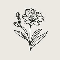 A black and white drawing of a flower, Illustration Plant, Including Various Elements Such as a Branch with Leaves and Flowers, a Cut in Half vector