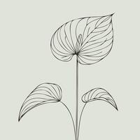 A drawing of a plant with leaves, Line Art of Flowers, Leaves vector