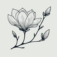 Adobe Illustrator Artwork set of contour floral line art of rose flowers, leaves black and white illustration set of doodle decorative elements of plants, hand drawn magnolia branch flowers, design vector