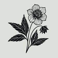 A black and white drawing of a flower, Illustration Plant, Including Various Elements Such as a Branch with Leaves and Flowers, a Cut in Half vector