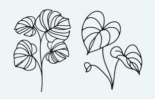 Two plants with leaves in a line drawing, Simple Line Art, Design Elements For Cards, Invitations, Banners, Posters, Logo vector