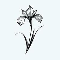 Adobe Illustrator Artwork, in engraving style. set of contour iris flower, line art flowers, black and white illustration set vector