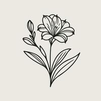 A black and white drawing of a flower, Detailed Flowers With Leaves And Buds. Hand Drawn vector