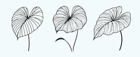 Adobe Illustrator Artwork, leaf abstract, leave, drawing plant illustration, leaves set vector