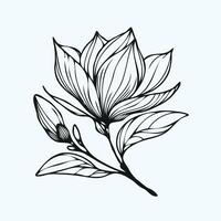 Adobe Illustrator Artwork, set of contour spring flowers hibiscus line art floral, leaves black and white illustration Chinese rose set of decorative elements of plants stylized vector