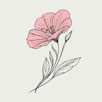 A drawing of a flower with leaves vector