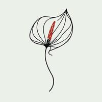 Adobe Illustrator Artwork. Set of hand drawn doodle leaves, flower. Black and white decorative elements Anthurium, Alocasia, Spathiphyllum. vector