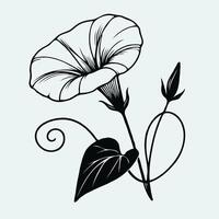 A black and white drawing of a flower, Illustration Plant, Including Various Elements Such as a Branch with Leaves and Flowers, a Cut in Half vector