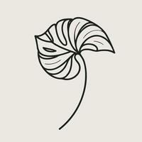 A black and white drawing of a leaf, Monstera leaf isolated on white background. Tropical leaves, banana leaves, monstera, fern, Botanical and Jungle leaves design for nature background vector