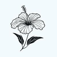 Adobe Illustrator Artwork. Red Hibiscus blooming flower with hand drawn style. Flat design. Chinese rose illustration. vector