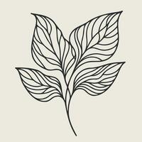 A leaf with a line drawing of it, set with branches and tea leaves. Hand drawn graphics, tea leaves. Design and decoration vector