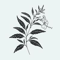 A black and white drawing of a flower, set with branches and tea leaves. Hand drawn graphics, tea leaves. Design and decoration vector