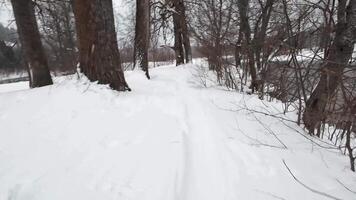 A serene winter landscape featuring a snowcovered pathway flanked by trees, leading to a tranquil river, capturing the beauty of nature in the cold season video
