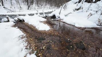 Imagine a tranquil winter scene with a stream winding through snow and autumn leaves, showcasing natures beauty in a peaceful setting, inviting you to pause and appreciate video