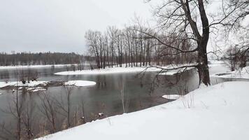 Imagine a beautiful winter landscape with a serene river gracefully flowing through snowcovered banks, while bare trees reach up towards a gentle, cloudy sky with a tranquil atmosphere video